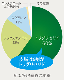 分泌された直後の皮膚